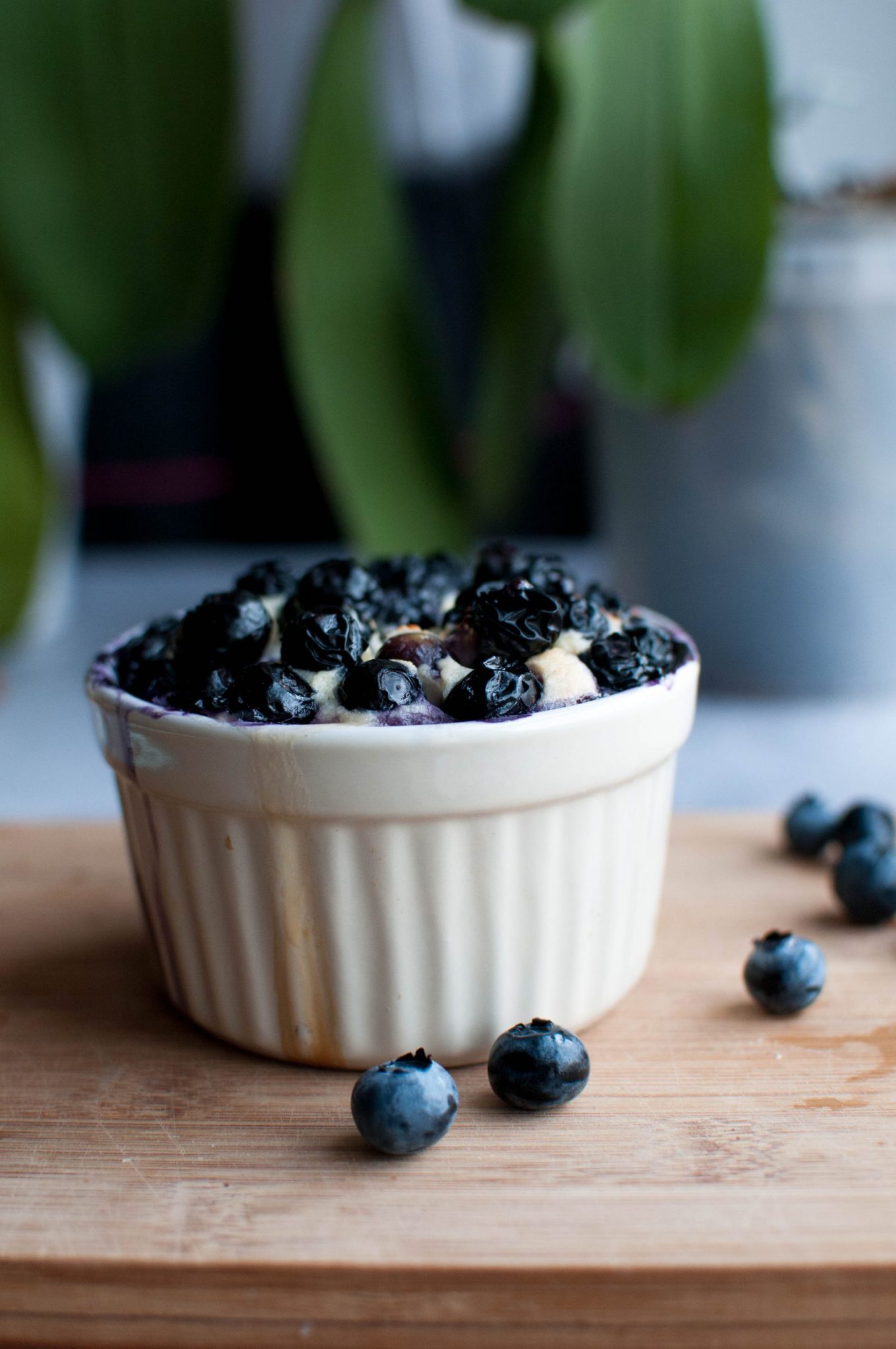 Serniczek kokosowy z borówkami